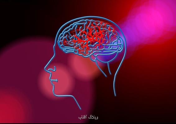 پیش بینی احتمال سكته مغزی با یك تراشه كوچك