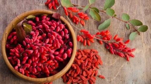 زرشک، دانه های سرخ سلامتی