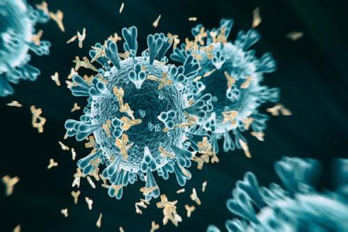 شناسایی یک پادتن جدید که می تواند با انواع کروناویروس روبرو شود