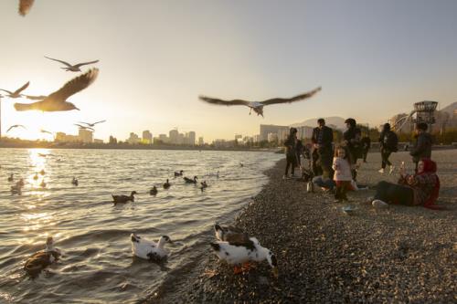 آبیاری فضای سبز دریاچه خلیج فارس با پساب از سال آینده