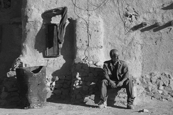 معرفی فیلمهای حاضر در قسمت مسابقه جشنواره فیلم شانگهای 2024