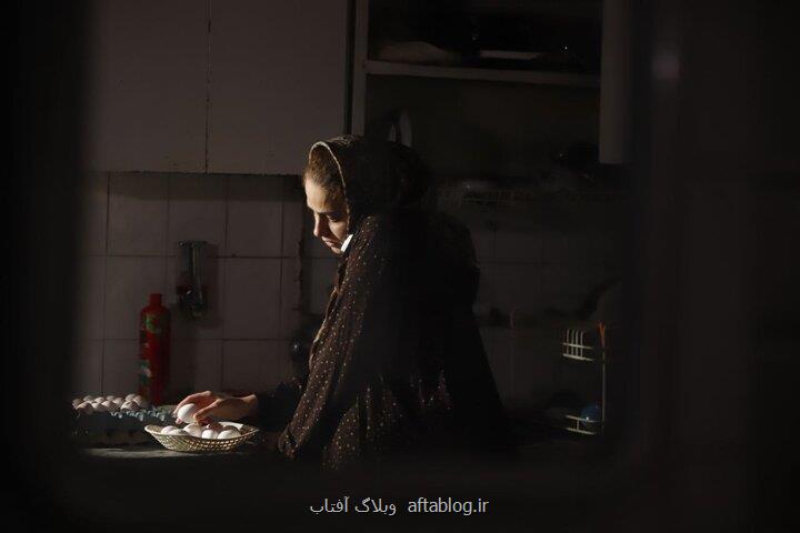 حضور شلته در چند جشنواره خارجی