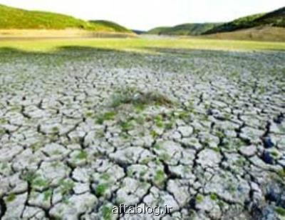 شناسایی زوایای جدیدی از پاسخ گیاهان به تنش شوری