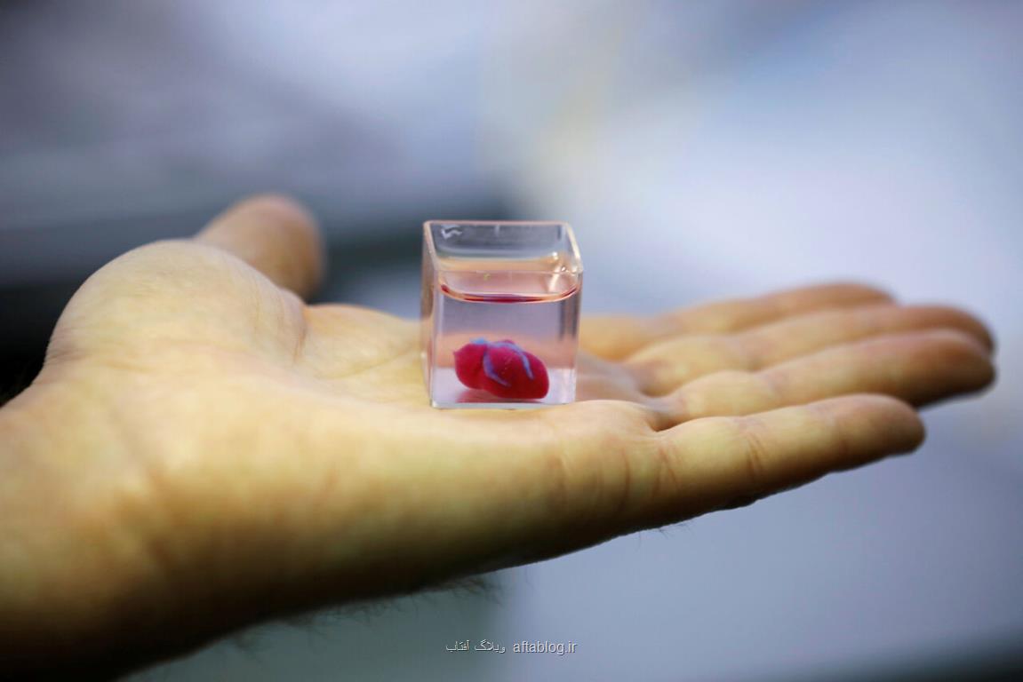تولید سلول های قلب با فناوری چاپ سه بعدی