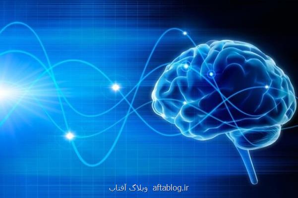 بهره برداری از داده های بیوبانك نقشه برداری مغز ایران در رویدادی بین المللی