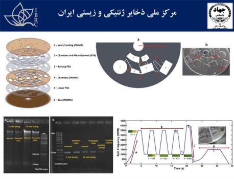 موفقیت پژوهشگران ایرانی در توسعه فناوری استخراج اتوماتیك و میكروفلویدیك DNA سلولی